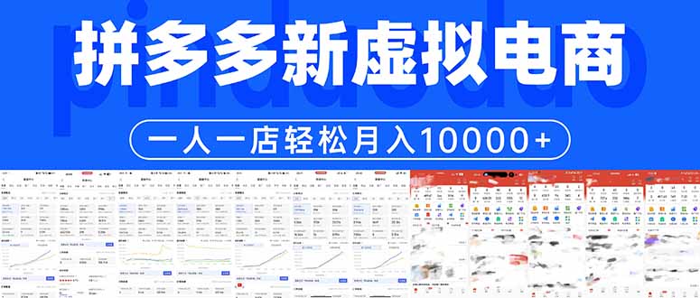 拼多多虚拟电商一人一店轻松月入10000+-源创文化-逐光轻创终点站