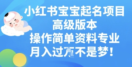 小红书宝宝起名项目高级版本，操作简单，资料专业，月入过W-源创文化-逐光轻创终点站
