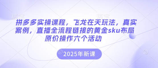 拼多多实操课程，飞龙在天玩法，真实案例，直播全流程链接的黄金sku布局原价操作六个活动-源创文化-逐光轻创终点站