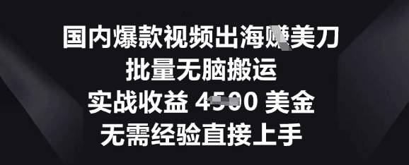 国内爆款视频出海挣美刀，批量无脑搬运，实战收益4.5k，无需经验直接上手-源创文化-逐光轻创终点站
