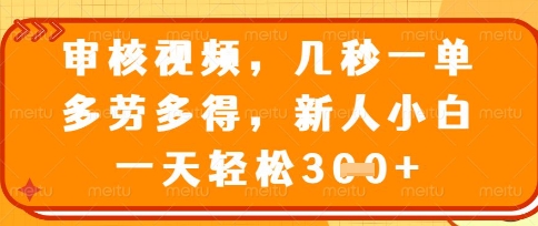 最新审核视频，几秒一单，多劳多得，新人小白一天轻松3张【揭秘】-源创文化-逐光轻创终点站