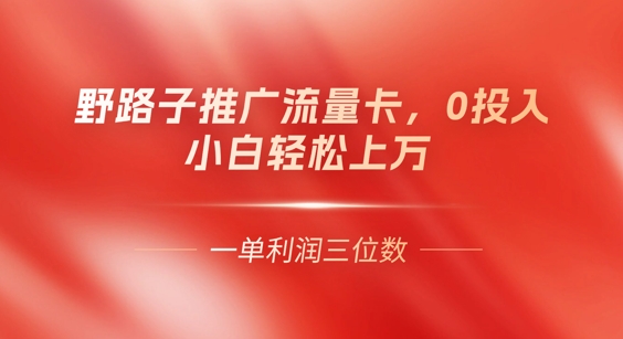 0门槛推广流量卡，一单收益上百，0投入，小白月入过W-源创文化-逐光轻创终点站