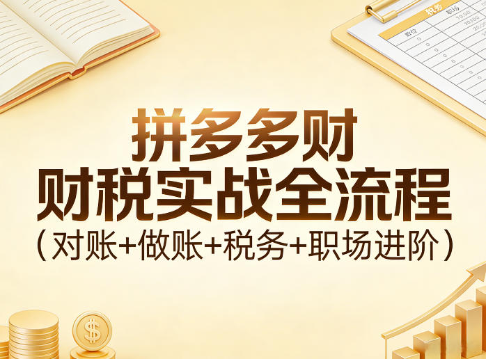 拼多多财税实战全流程(对账+做账+税务+职场进阶)-源创文化-逐光轻创终点站