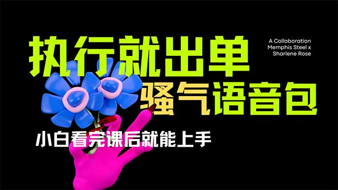 （14170期）爆火全网的开车导航骚气语音包,只要执行就出单，小白看完课程就能实操...-源创文化-逐光轻创终点站