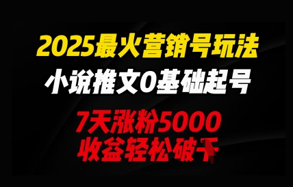 2025最火营销号玩法：小说推文0基础起号，7天涨粉5000，收益轻松破k-源创文化-逐光轻创终点站