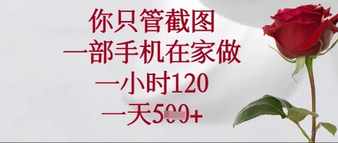 你只管截图，一部手机在家操作，一小时120.一天5张【揭秘】-源创文化-逐光轻创终点站